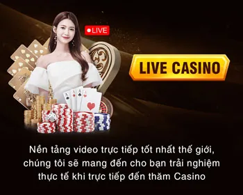 Cam kết dịch vụ qq188 chính thức